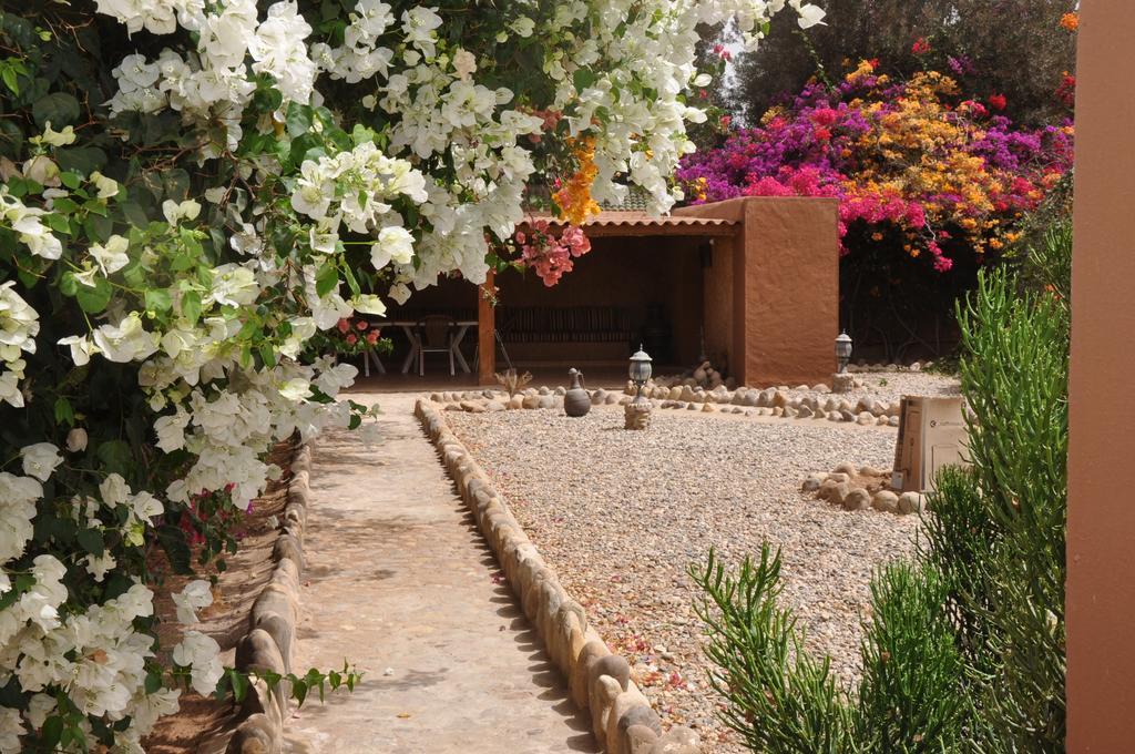 La Palmeraie De Massa Zaouit Massa Exterior photo